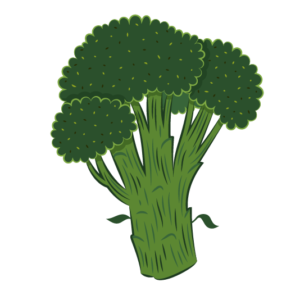broccolo siciliano