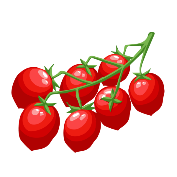 pomodoro datterino rosso